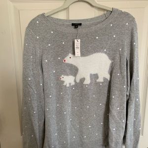 Talbots 1XP sweater